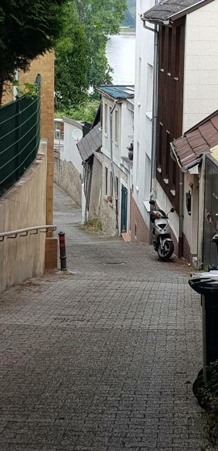Rheinblick 3-Zimmer Apartment Mainz Eksteriør billede
